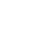 Vital Wrist Ball
